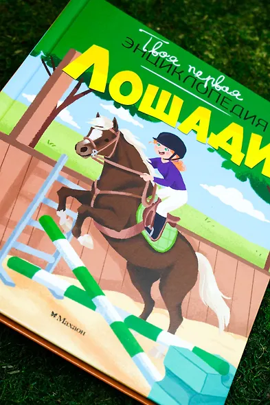 Лошади - фото 7