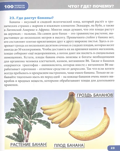 Что? Где? Почему? - фото 3