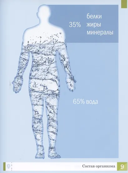 Тело человека: энциклопедия - фото 5