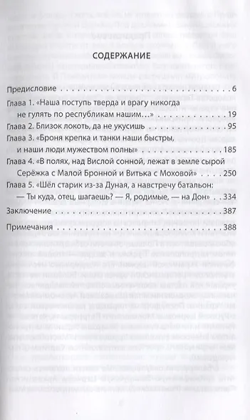Миссия России. Искупление и Победа - фото 2