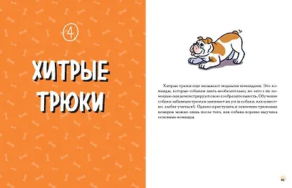 Твоя собака. Воспитание и тренировка - фото 8