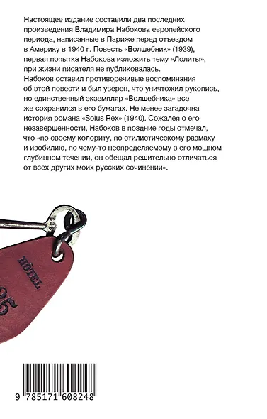 Волшебник - фото 2