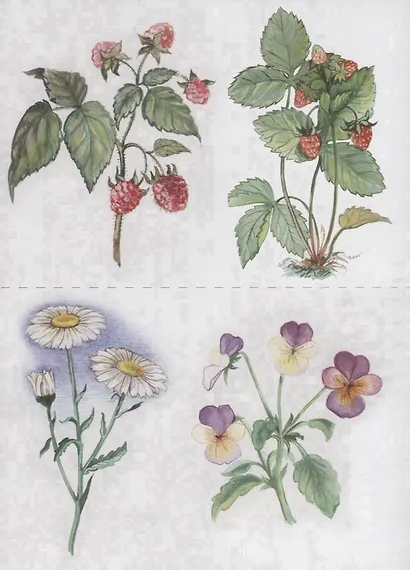 Четыре сезона. Лето. Развивающая игра для дошкольников и младших школьников - фото 2