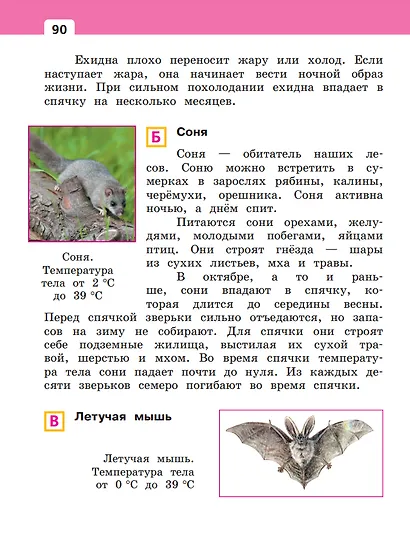 Окружающий мир. 2 класс. Учебное пособие. В двух частях. Часть 1 - фото 5