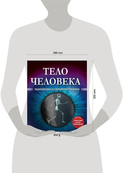 Тело человека. Энциклопедия со стереоиллюстрациями - фото 3