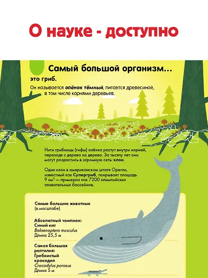 Наука. 100 вопросов и ответов - фото 6