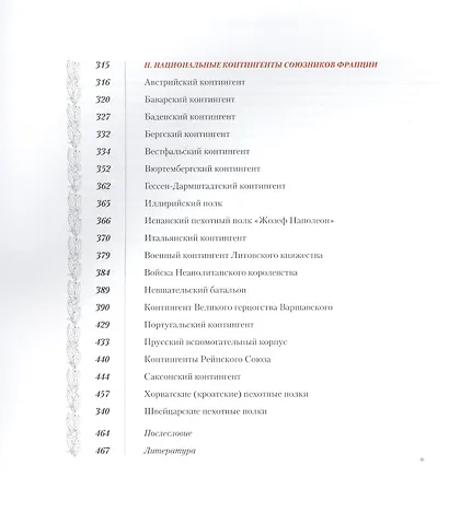 По следам Великой армии Наполеона - фото 3