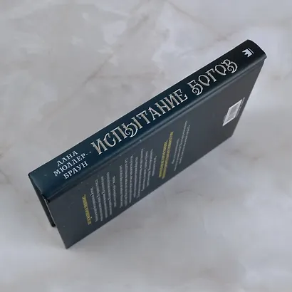 Испытание богов: роман - фото 5