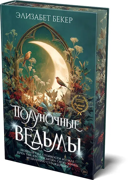 Полуночные ведьмы - фото 3