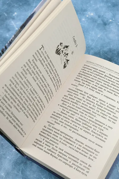 Ледяная старуха в Снежном замке - фото 12