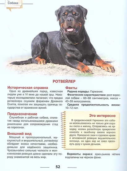 ЭНЦИКЛОПЕДИЯ ДЛЯ ДЕТЕЙ новые. СОБАКИ - фото 3