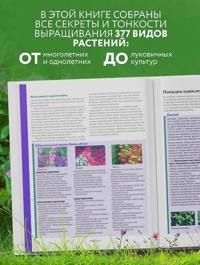 Библия садовых цветов. Однолетники, многолетники и луковичные. Советы по посадке, выращиванию и уходу - фото 5