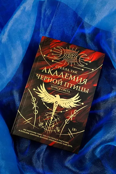 Академия Черной птицы. Бойся света - фото 4