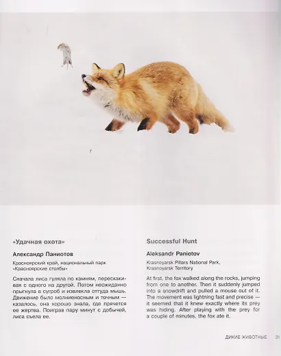 Россия самая красивая страна. Фотоконкурс 2025 - фото 11