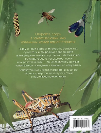 Невероятные насекомые и другие маленькие животные - фото 2