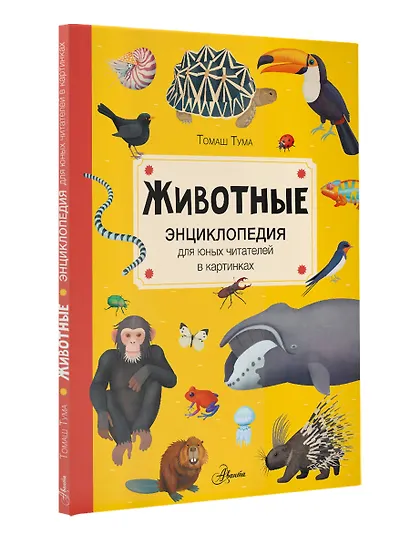 Животные - фото 3