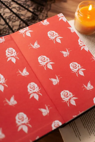 Красное и черное. Вечные истории - фото 9