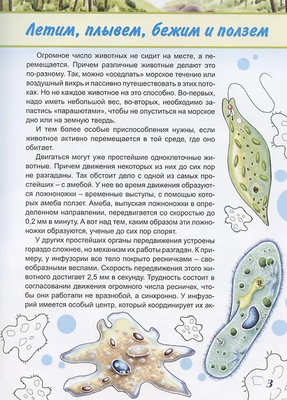 Летят перелетные птицы - фото 3