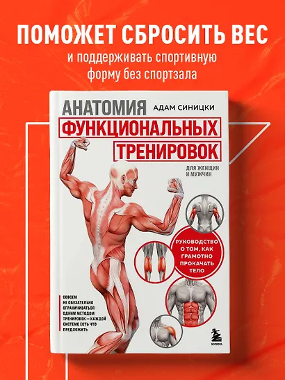 Анатомия функциональных тренировок. Руководство о том, как грамотно прокачать тело - фото 4