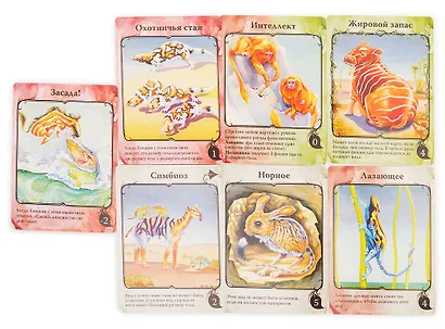Настольная игра «Эволюция. Естественный отбор» - фото 6