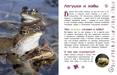 Животные. Большая детская энциклопедия - фото 7