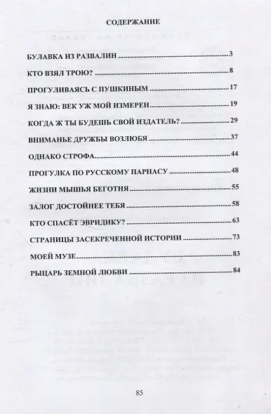 Булавка из развалин - фото 3