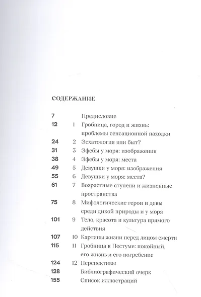 Ныряльщик из Пестума - фото 3