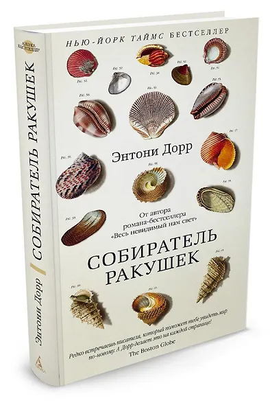 Собиратель ракушек - фото 2