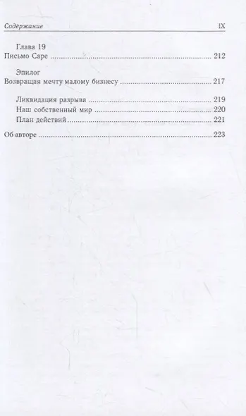 Малый бизнес: от иллюзий к успеху. Как создать компанию и удержать ее - фото 6
