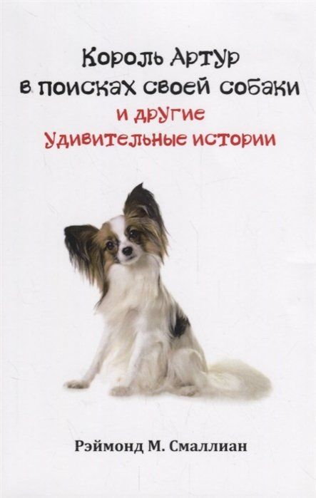 Смаллиан Р. - Король Артур в поисках своей собаки и другие занимательные истории