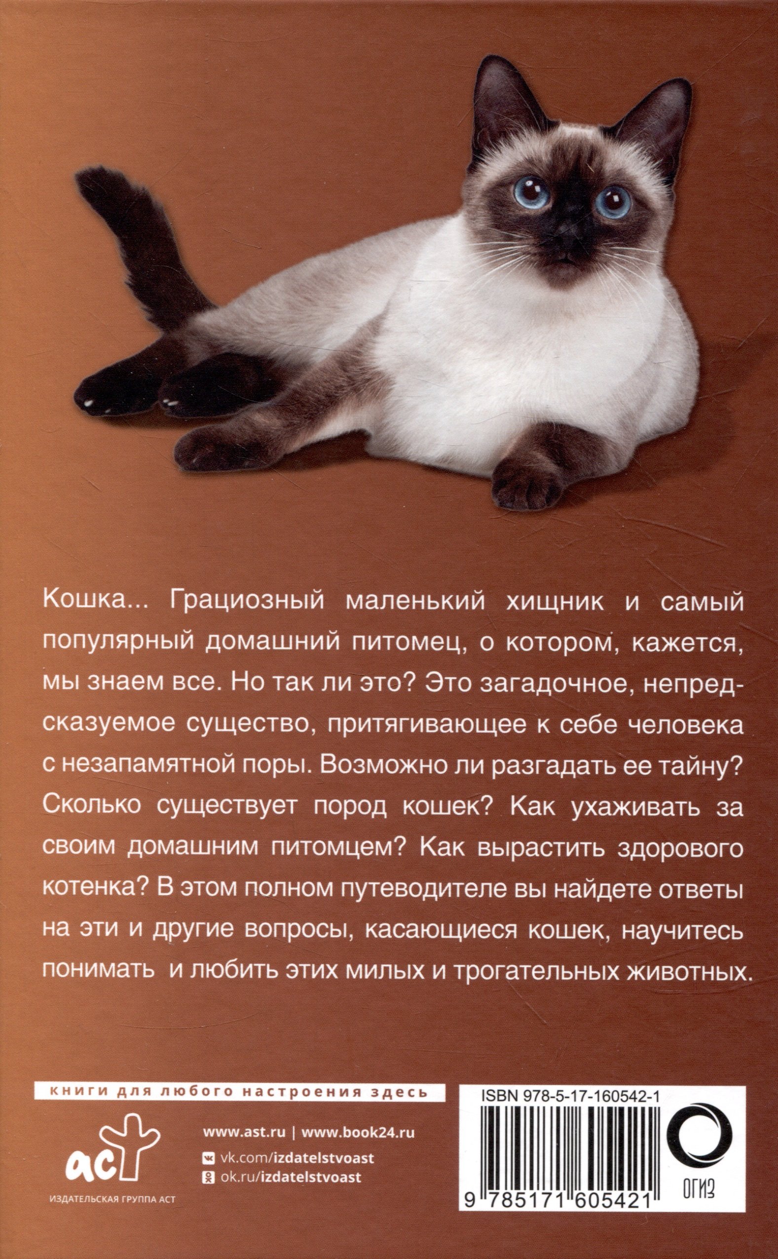 Кошки (Непомнящий Николай Николаевич). ISBN: 978-5-17-160542-1 ➠ купите эту  книгу с доставкой в интернет-магазине «Буквоед»