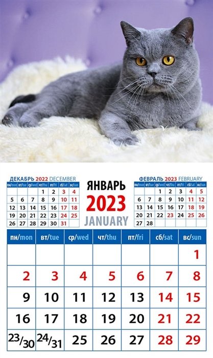 Календарь магнитный на 2023 год "Год кота. Настоящий джентльмен"