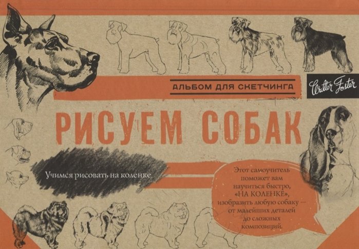 

Рисуем собак