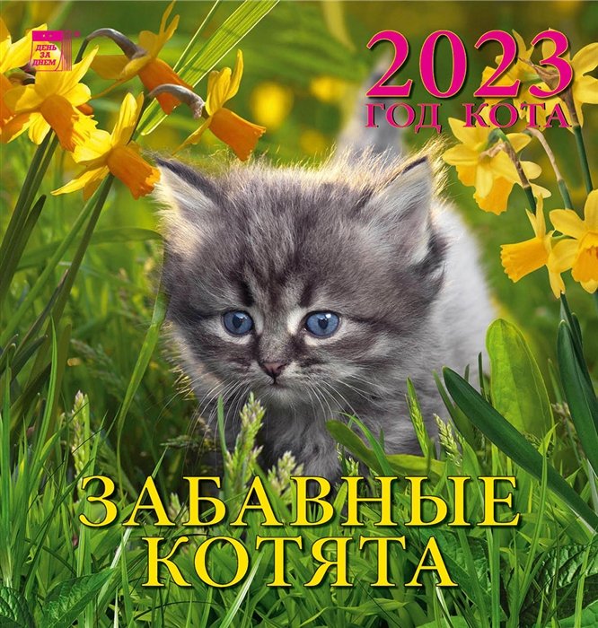 Календарь настенный на 2023 год "Год кота. Забавные котята"