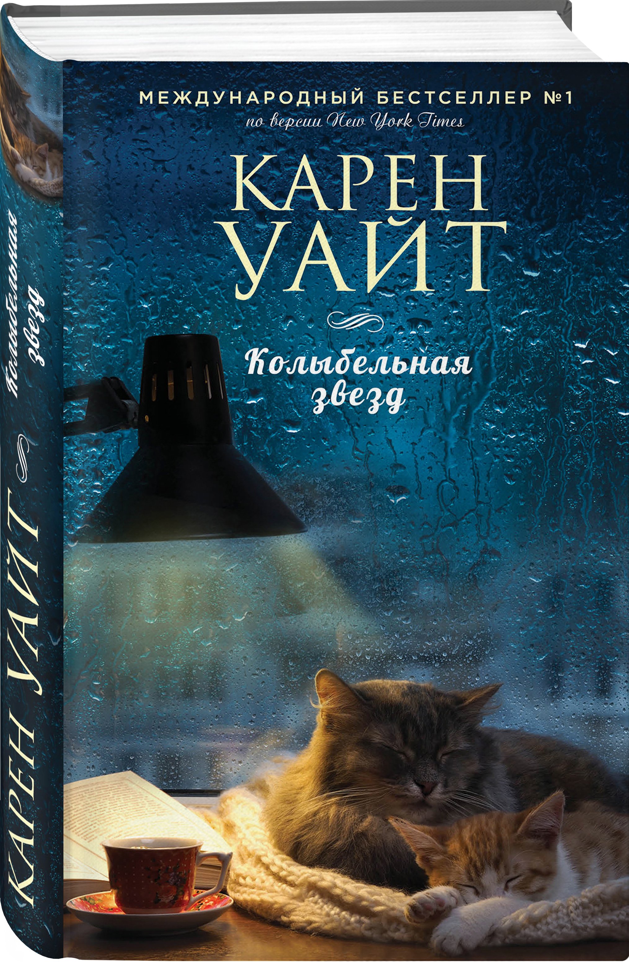 

Колыбельная звезд: роман