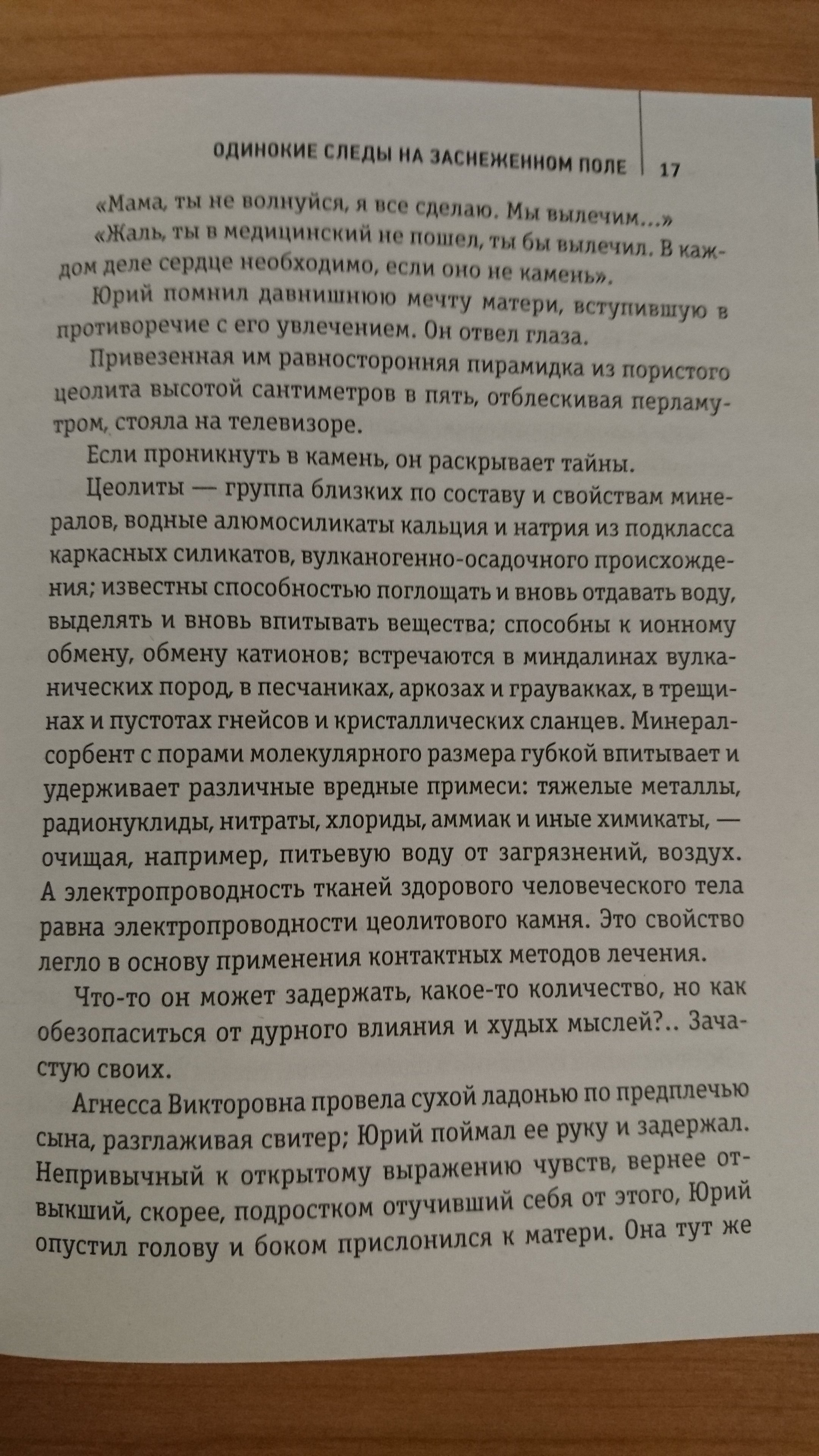 Одинокие следы на заснеженном поле (Железняк Николай Александрович). ISBN:  978-5-699-95813-9 ➠ купите эту книгу с доставкой в интернет-магазине  «Буквоед»