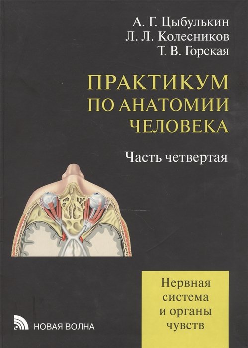 Цыбулькин А., Колесников Л., Горская Т. - Практикум по анатомии человека: учебное пособие. В четырех частях. Часть четвертая. Нервная система и органы чувств