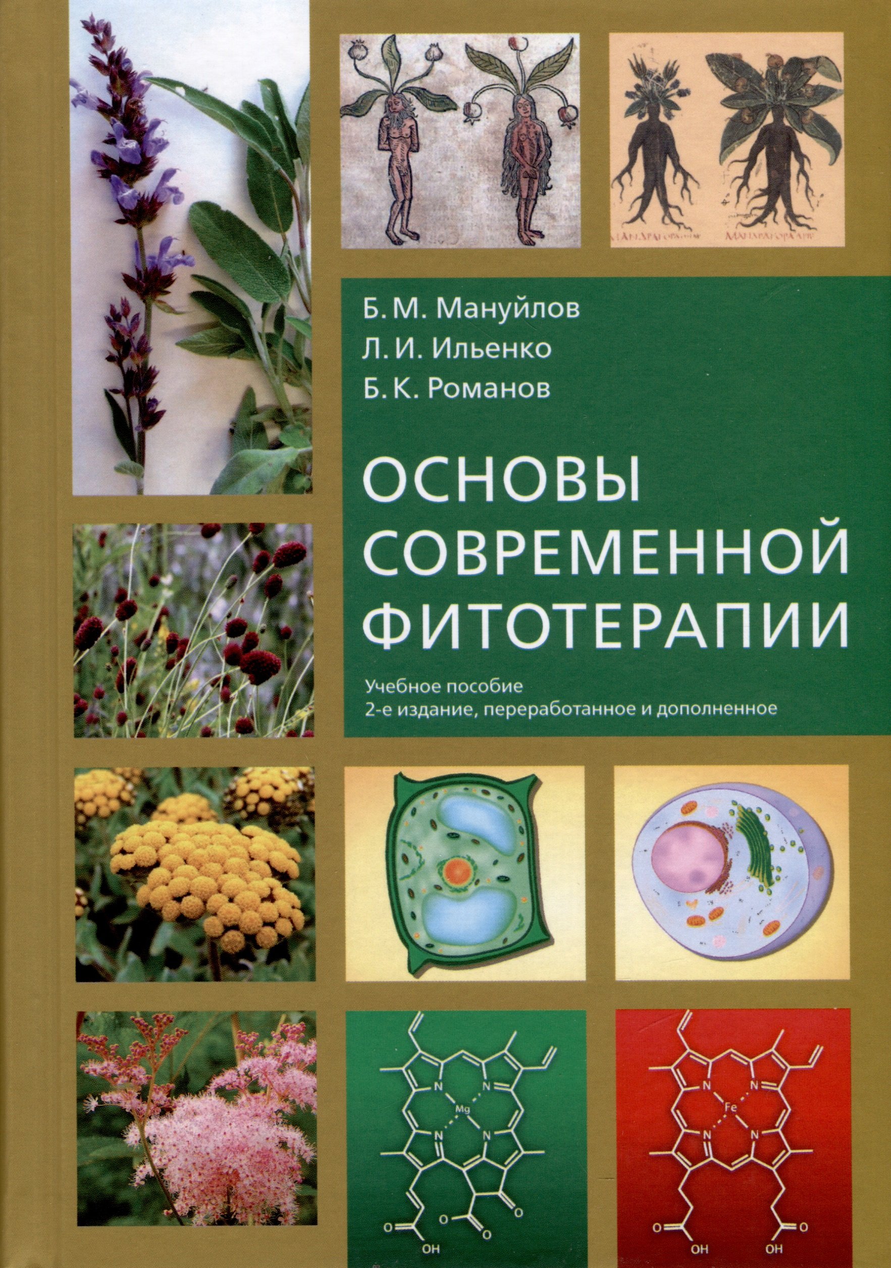 

Основы современной фитотерапии