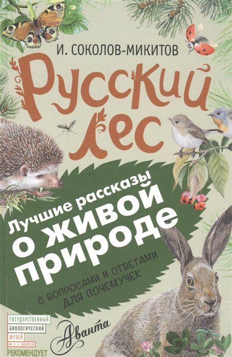 

Русский лес