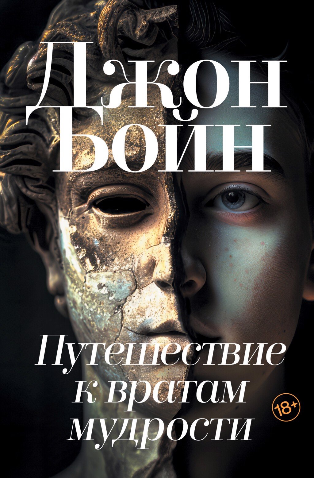 Путешествие к вратам мудрости отзывы. Одиночество джон бойн. Мальчик на вершине горы джон бойн книга. Путешествие к вратам мудрости отзывы. Путешествие к вратам мудрости отзывы.