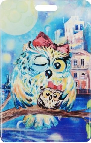 

Чехол для карточек "Подмигивающая сова с совенком"