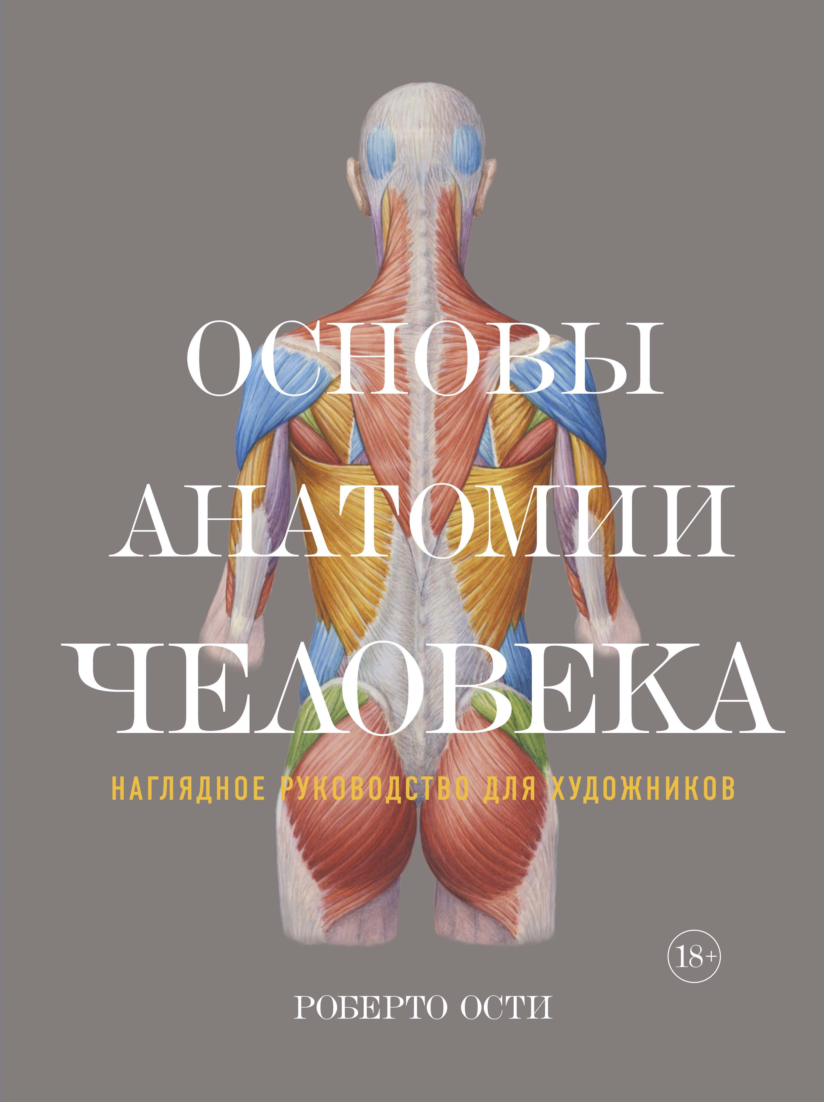 Zakazat.ru: Основы анатомии человека. Наглядное руководство для художников. Ости Роберто