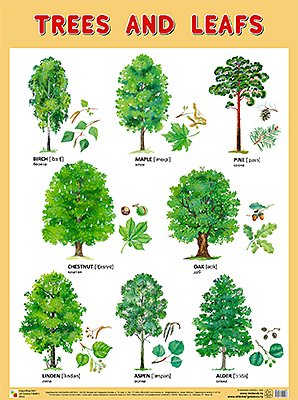 Плакаты (англ). Trees and Leafs (Деревья и листья) плакат мозаика синтез trees and leafs деревья и листья