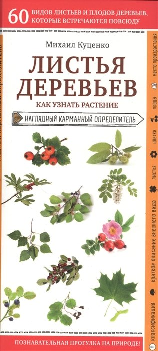 Куценко Михаил Евгеньевич - Листья деревьев. Как узнать растение