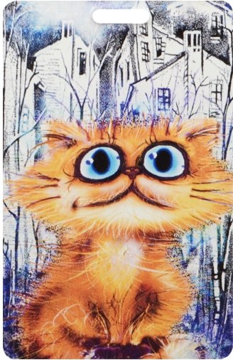 

Чехол для карточек "Cat in the City: В своем городе"