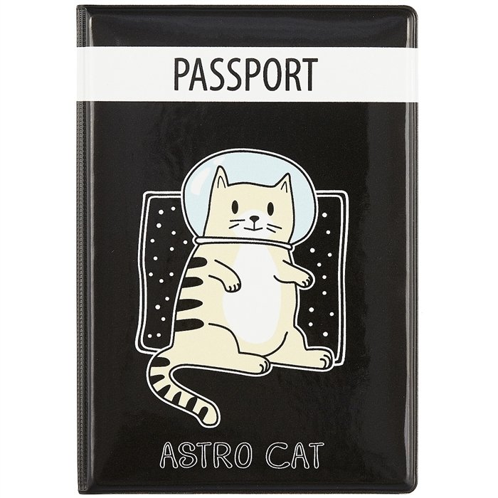    - Astro cat ( )