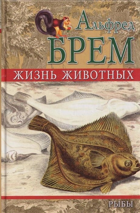 Брем Альфред - Рыбы. Отряд открытопузырные. Отряд пучкожабреные. Отряд твердочелюстные. Отряд твердочешуйные. Отряд хрящеперные. Отряд круглоротые. Отряд трубкосердцевые