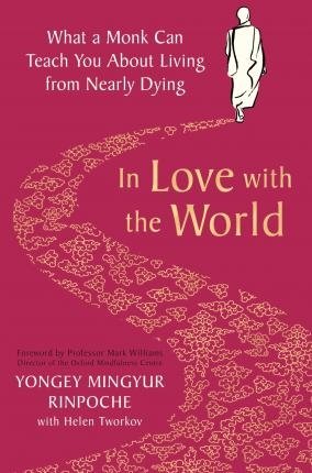Rinpoche Y. In Love with the World rice john henry durham jeffrey s awaken a tibetan buddhist journey toward enlightenment