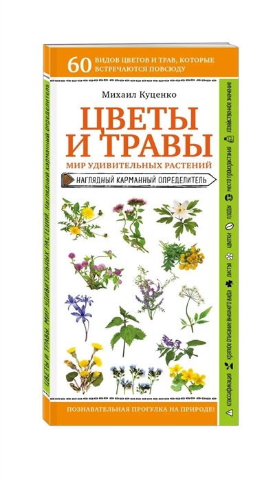 Куценко Михаил Евгеньевич - Цветы и травы. Мир удивительных растений