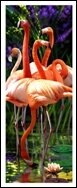 

Закладка 3D Flamingos (Листопадова)